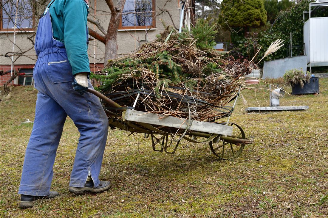 Cleaning fallen branches off a lawn after a storm