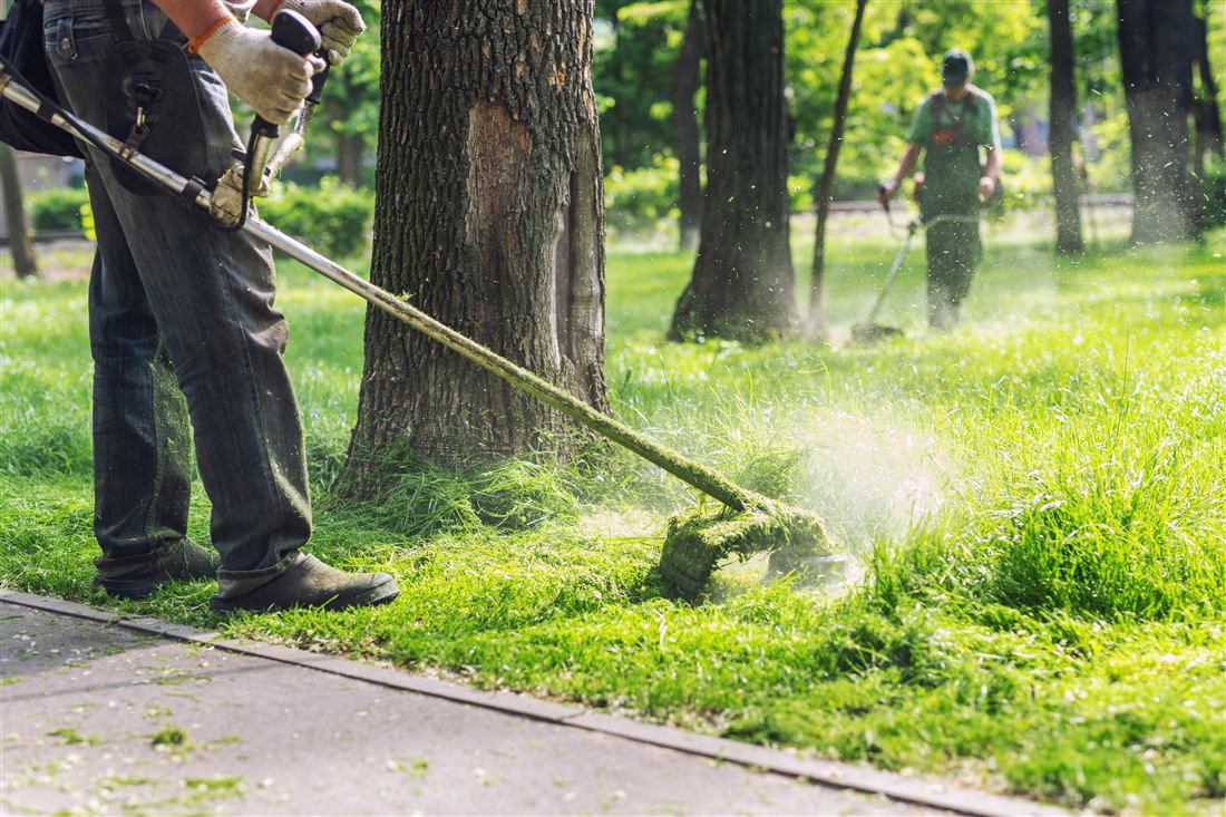 Crew member trimming a lawn with a string trimmer